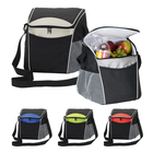 Insulated Cooler Lunch Bag Picnic, Sports, cooler bag breast milk storage